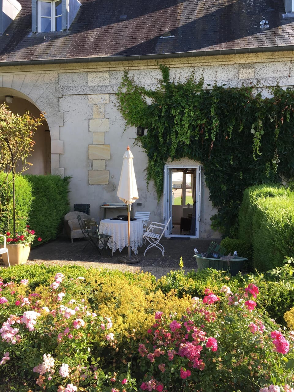 The back terrace.