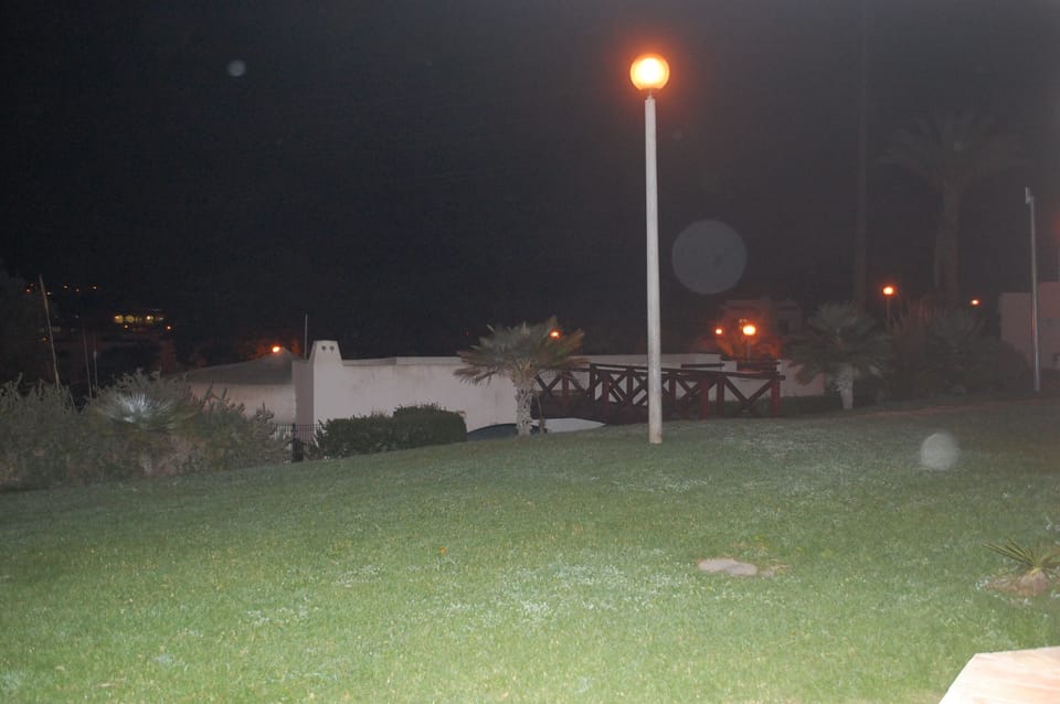 Evening shot of the lawned garden  from the patio doors