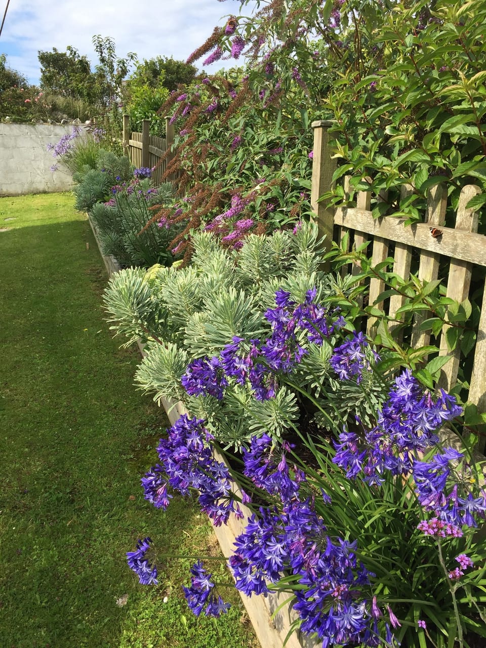 Rear Garden Borders