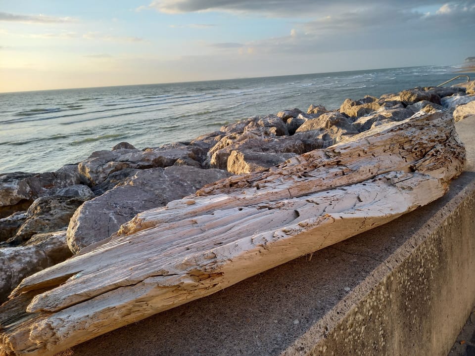 Beach/ocean view