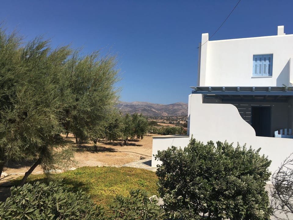 Our olive trees in the garden behind the villa and view to the mountains