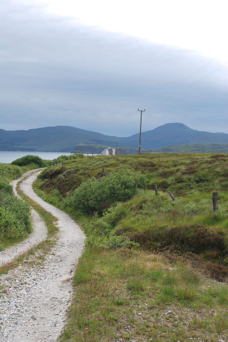 Lane leading to cottage overlooking the Loch