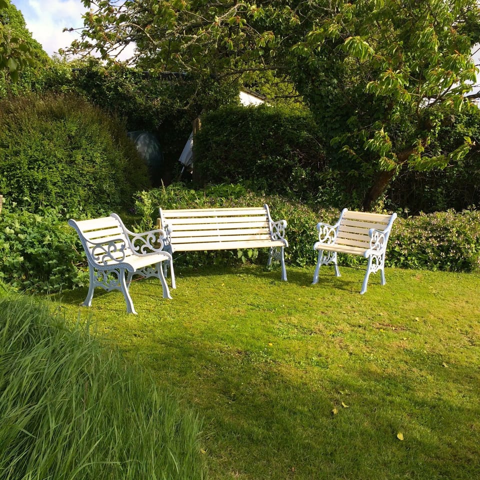 Guest's garden