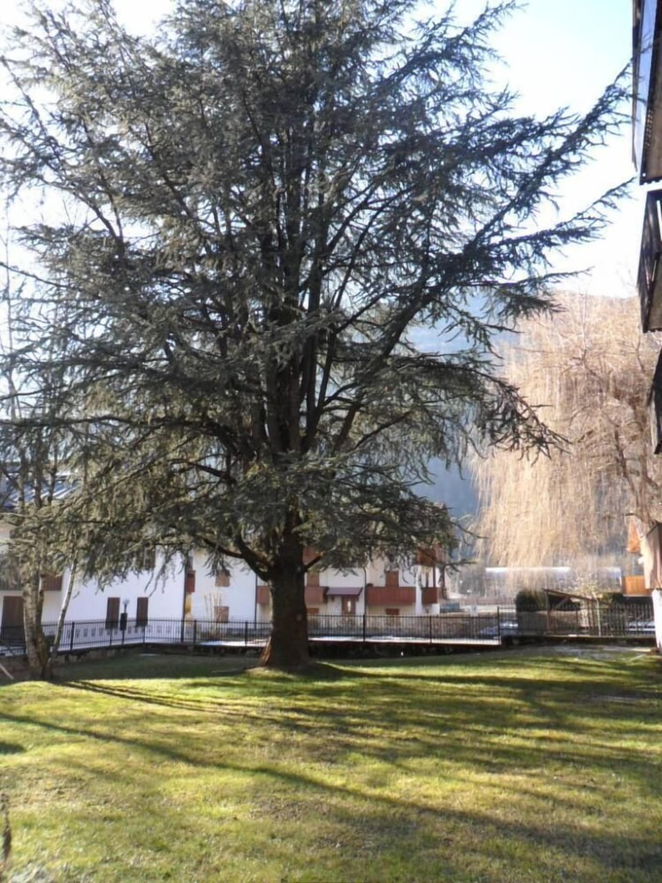 Garden, Park