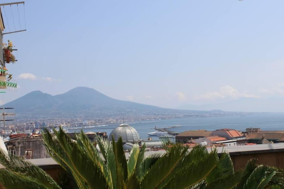 View of the Vesuvio