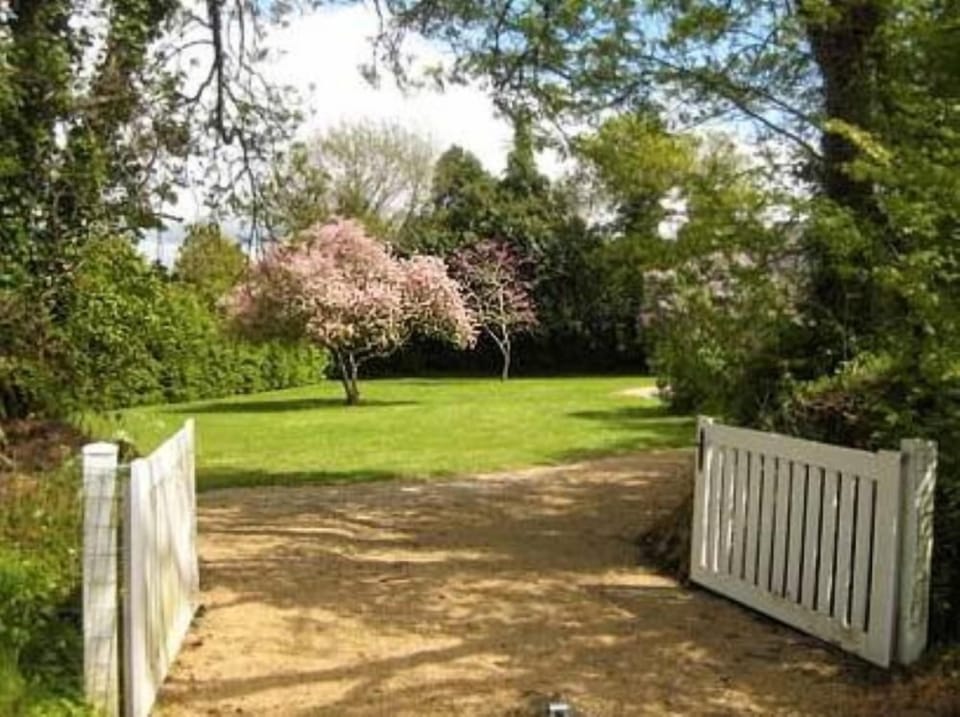 The garden