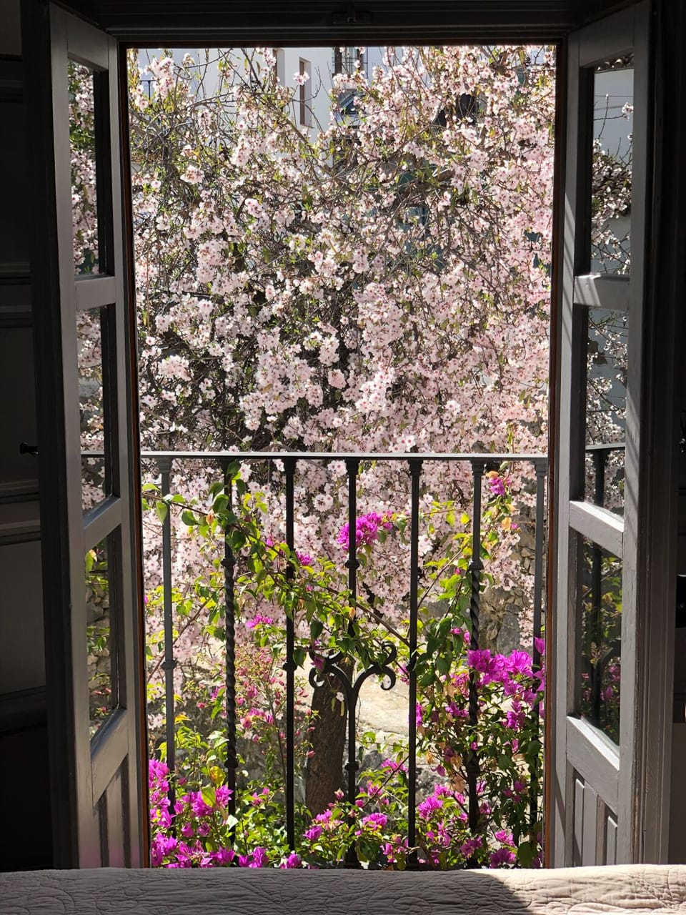 French windows from second bedroom