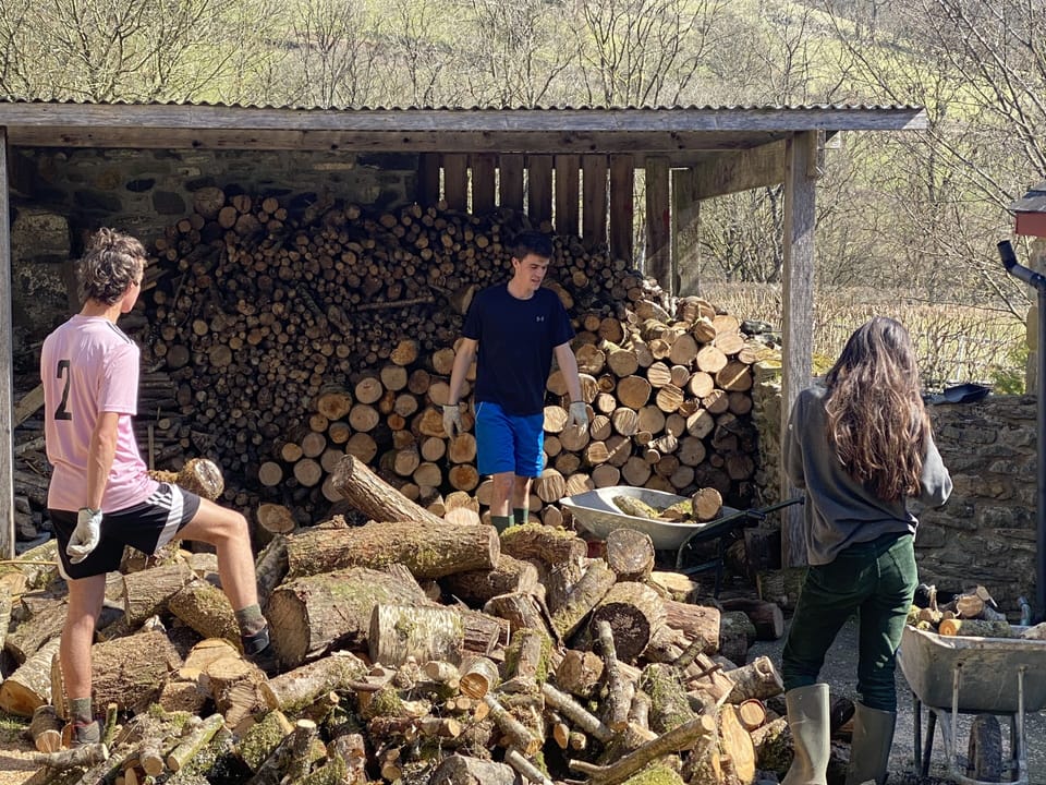 Log supply!
