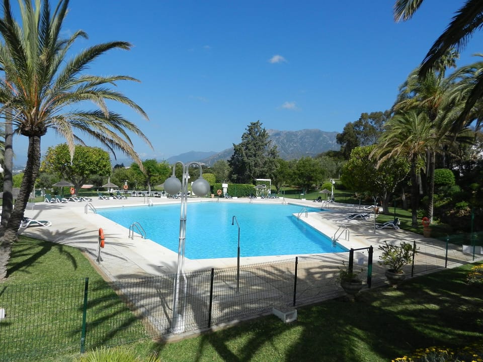 The main pool, bigger than Olympic size, and you will often have it to yourself!