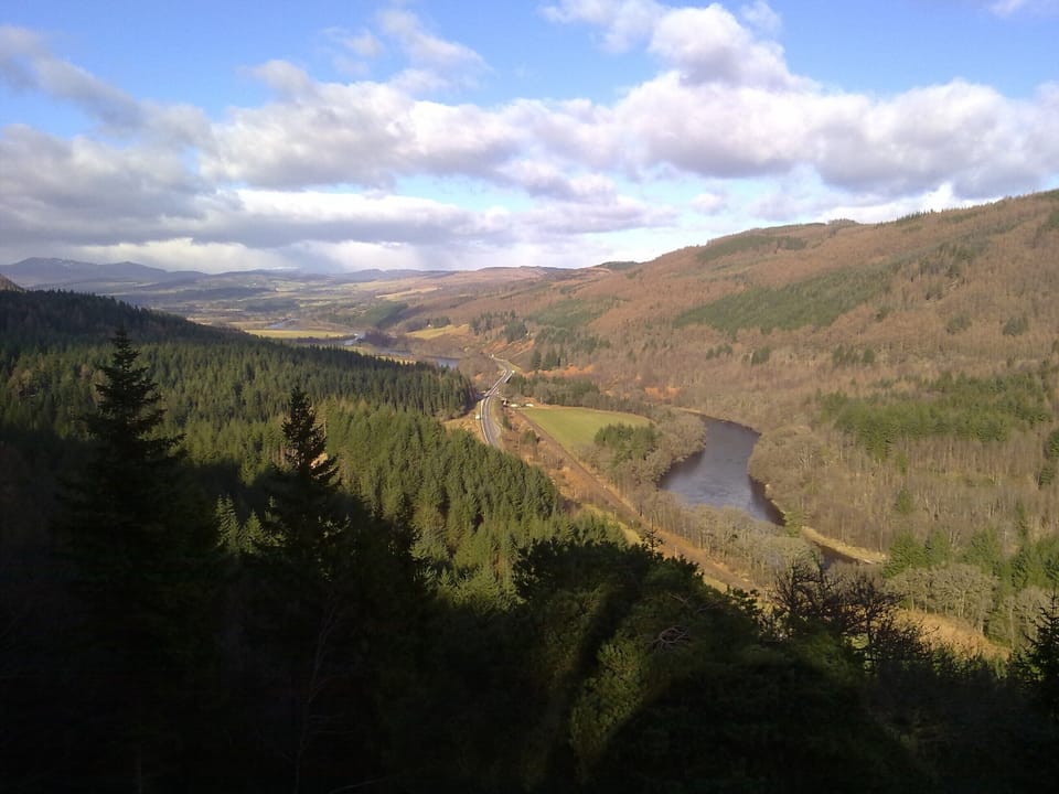 Pine Cone View, Dunkeld