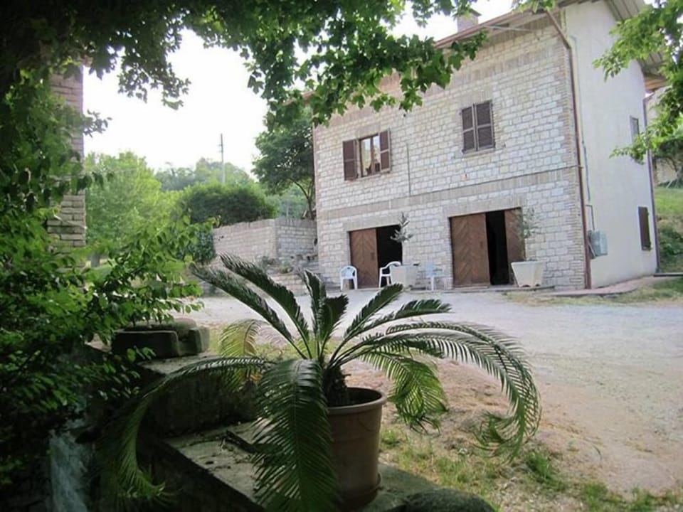 Front side 1