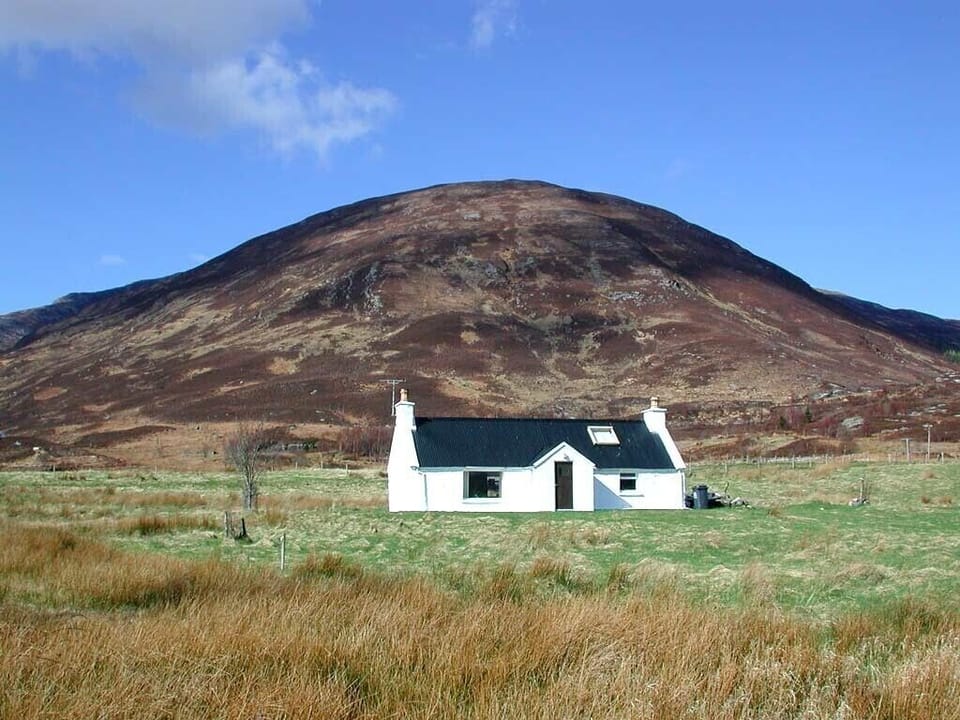 The House