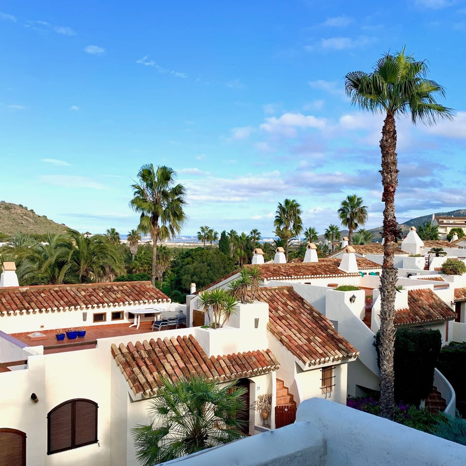 view from the terrace
