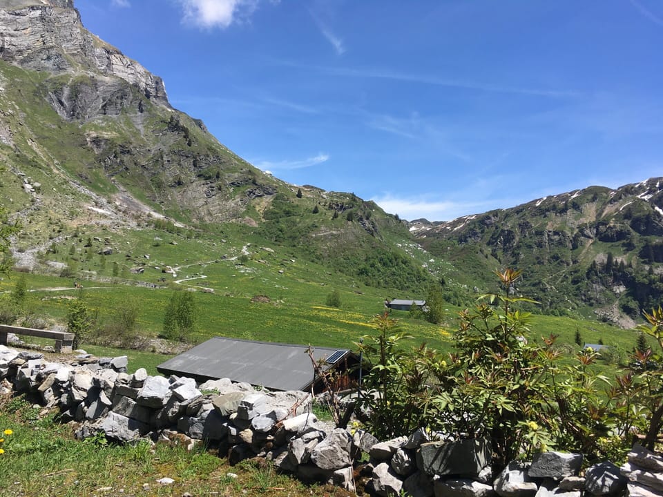View from property