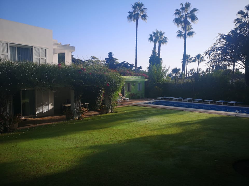 Garden with house to left, apartment to the right