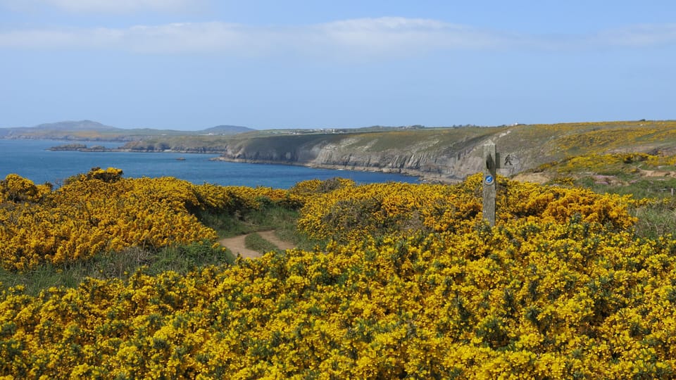 Coast Path - five minutes' walk from Llanunwas