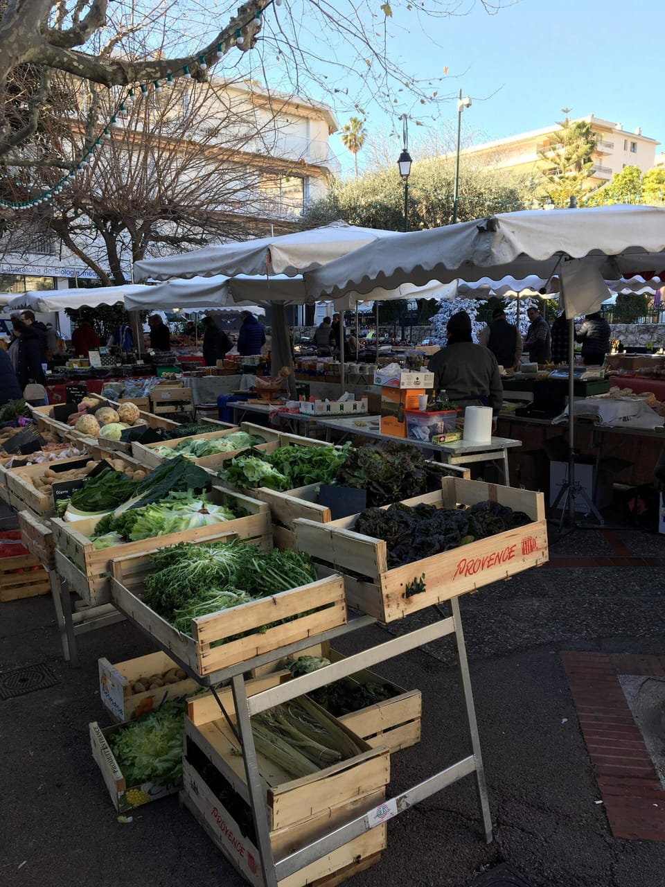 Daily fruit  and veg market
