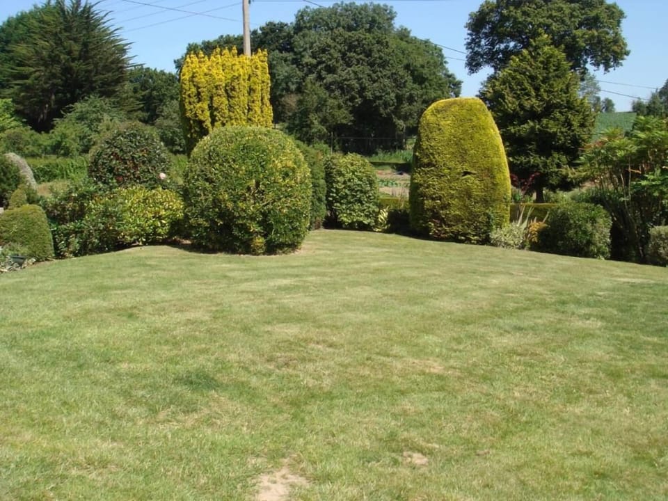 Garden, Park