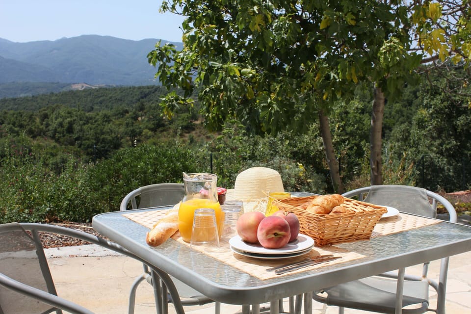 Breakfast with a view