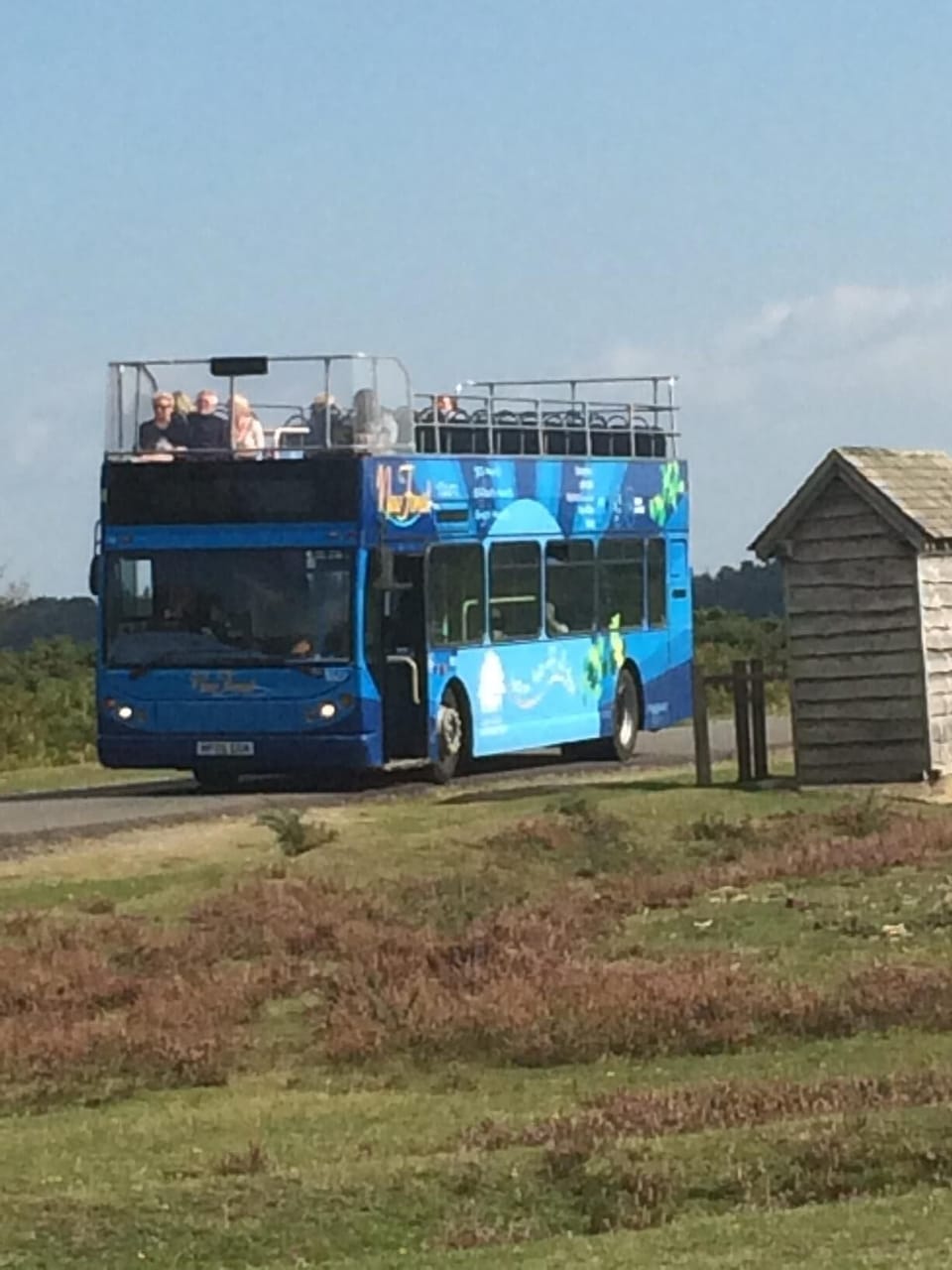 New Forest Open Air Tourist Bus 