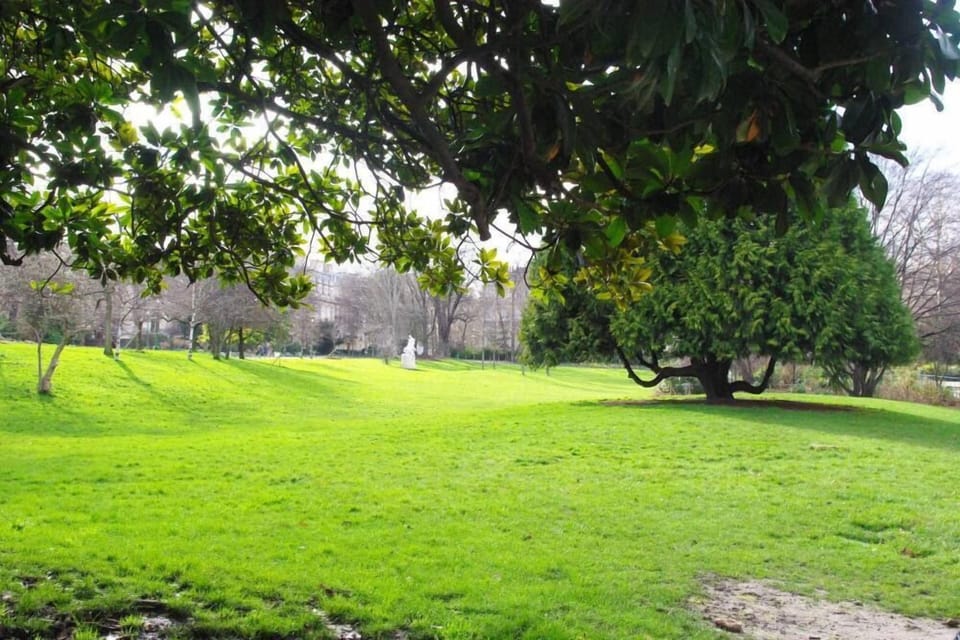 Garden, Park