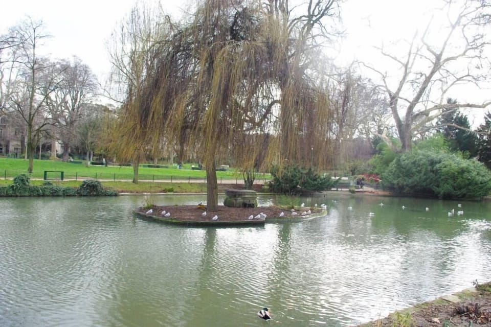 Garden, Park