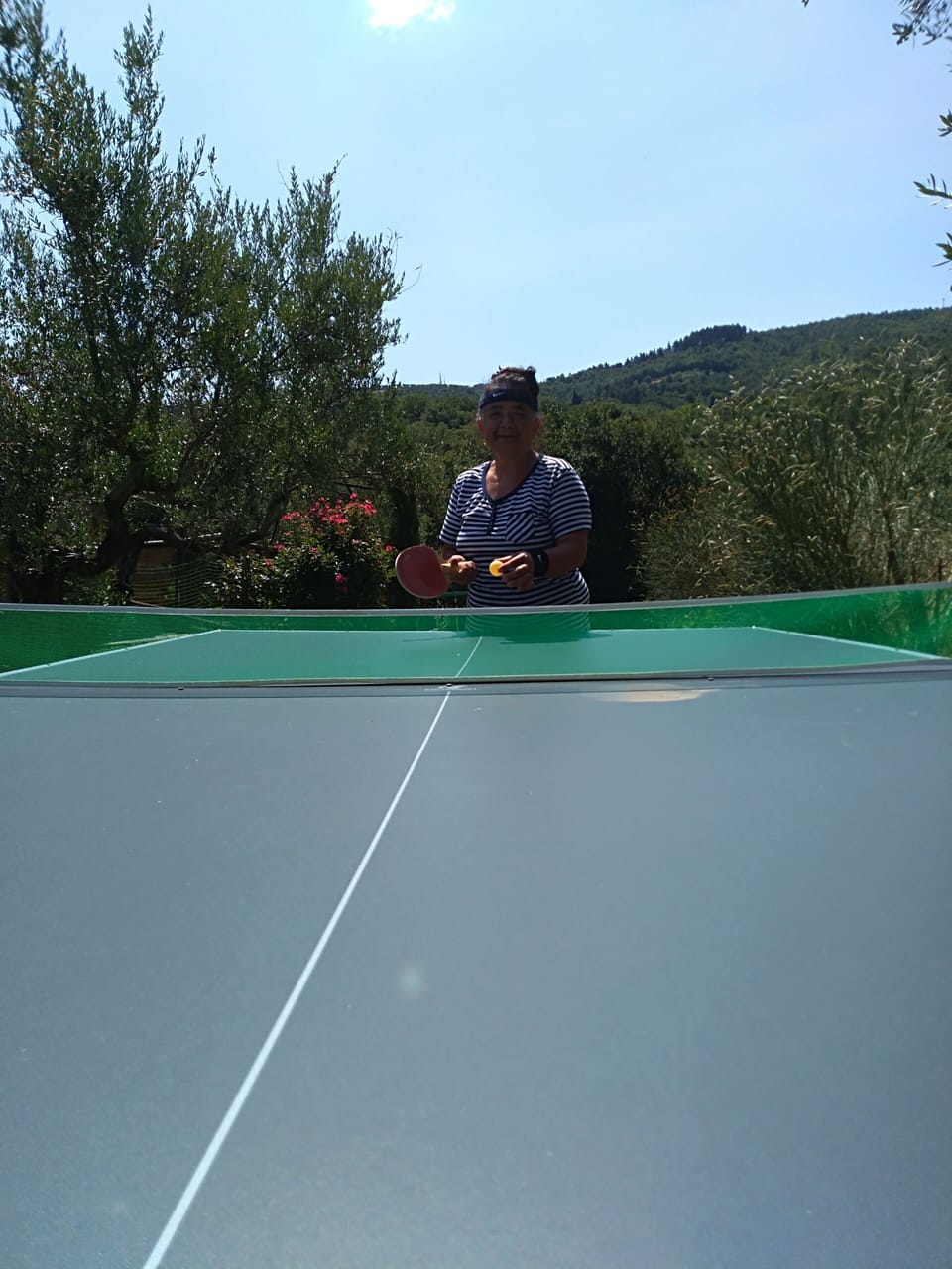 Sport court
