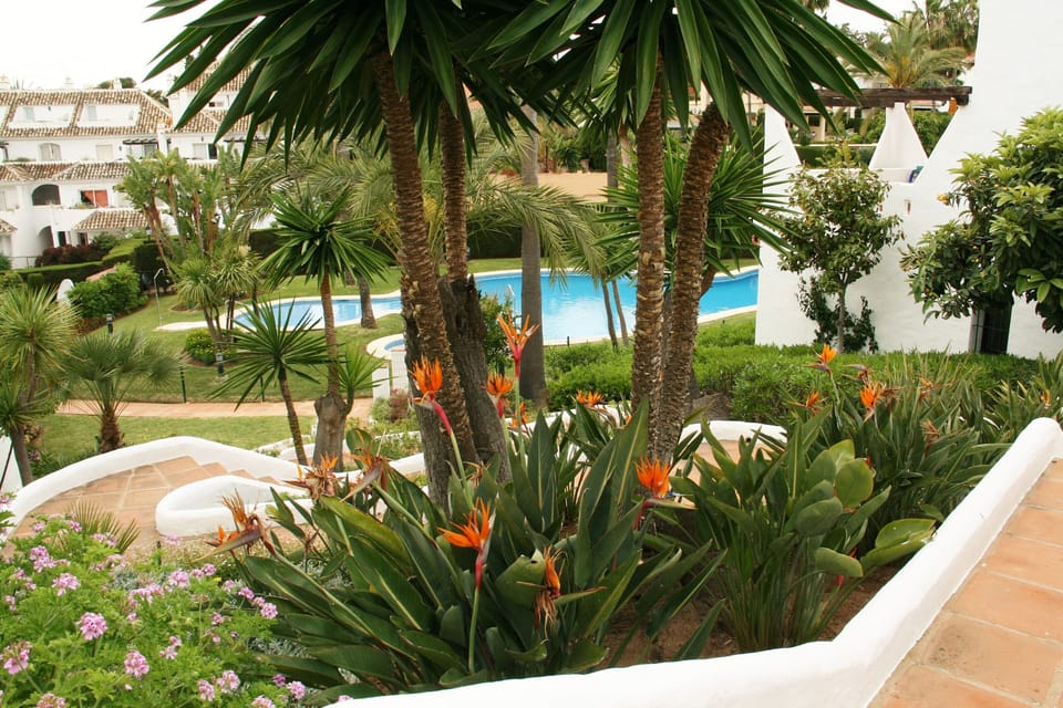 "Our" pool