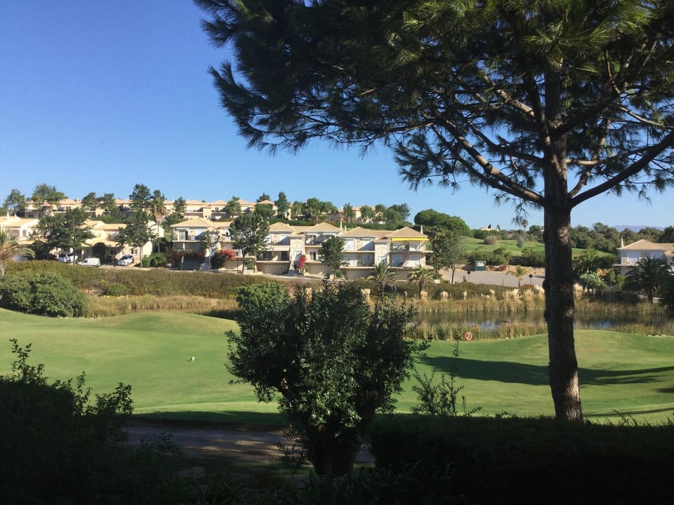 View of green from rear patio