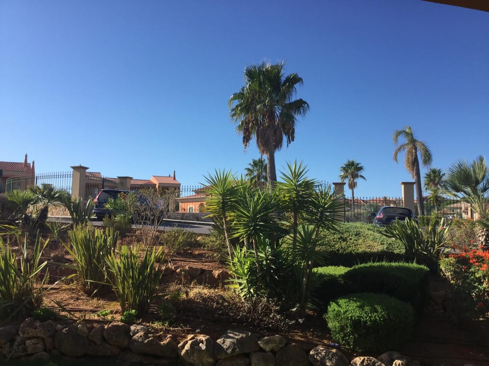 View from front patio