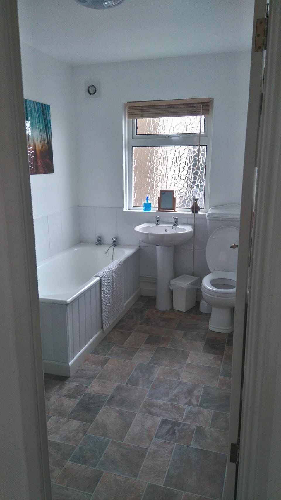Bath, Shower, Toilet (downstairs)