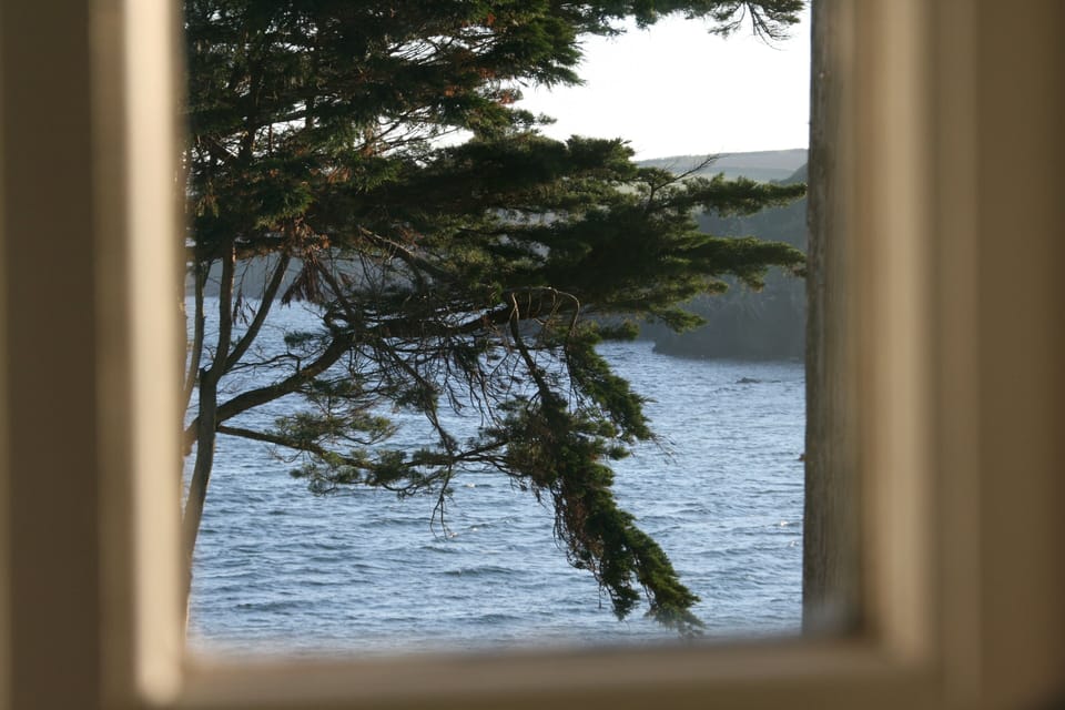 From Kitchen window
