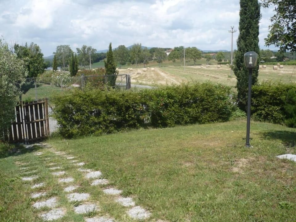Garden, Park