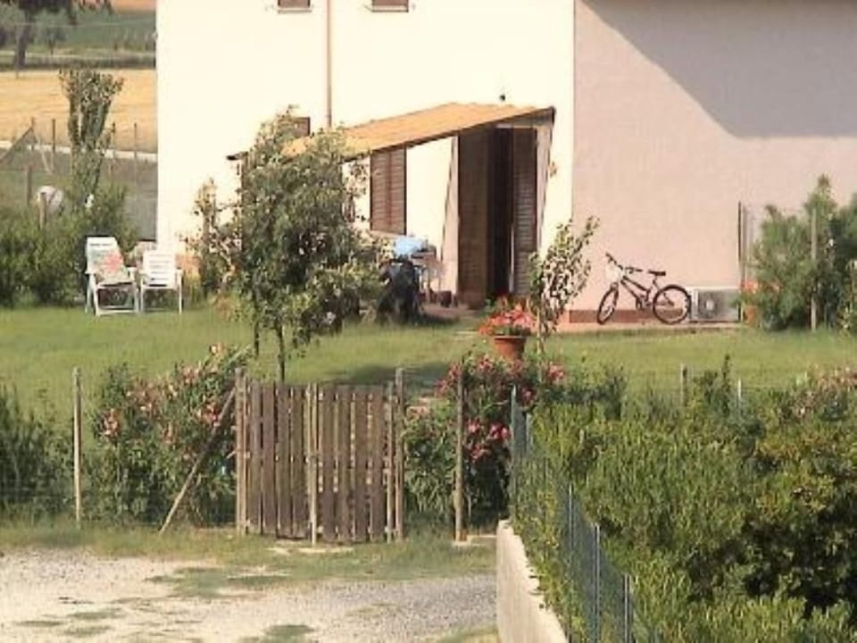 Garden, Park