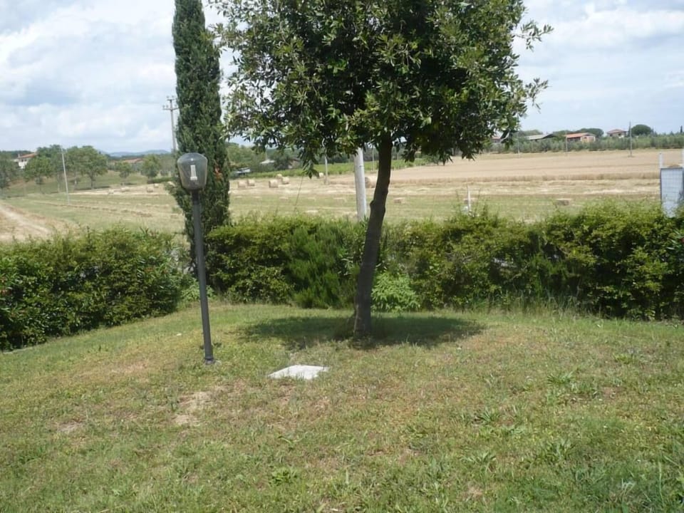Garden, Park