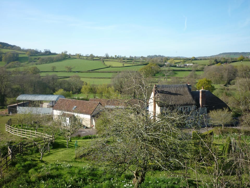 The cottage and farmhouse early evening in May