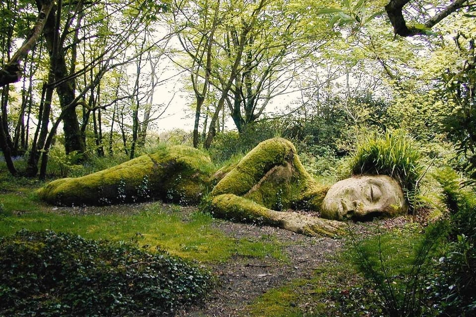 The Lost gardens of Heligan (3 miles form Mevagissey)