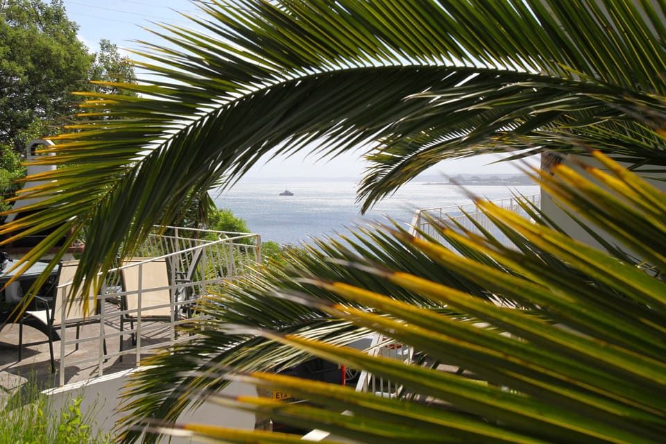 View from the barbecue area