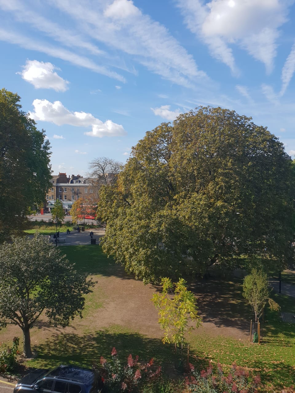 View out the living room window