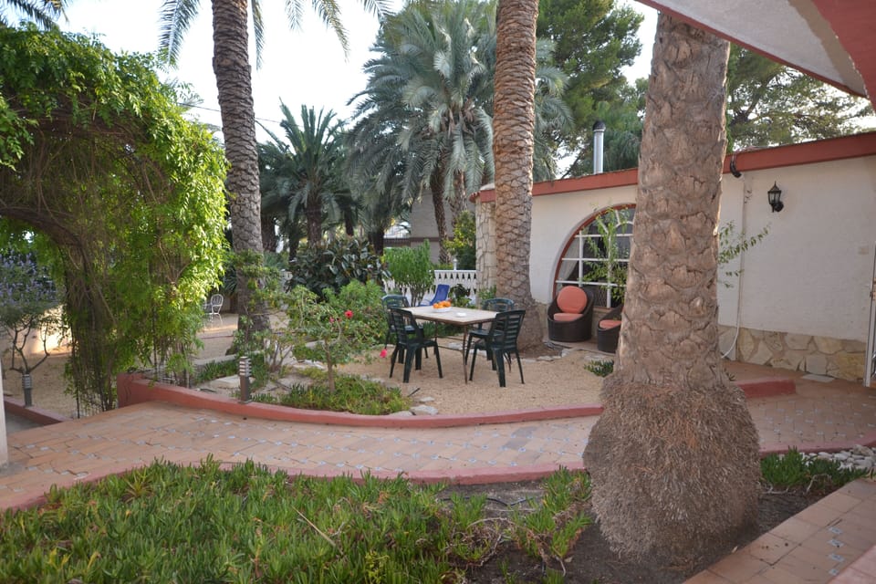 Relax area under the Palm trees