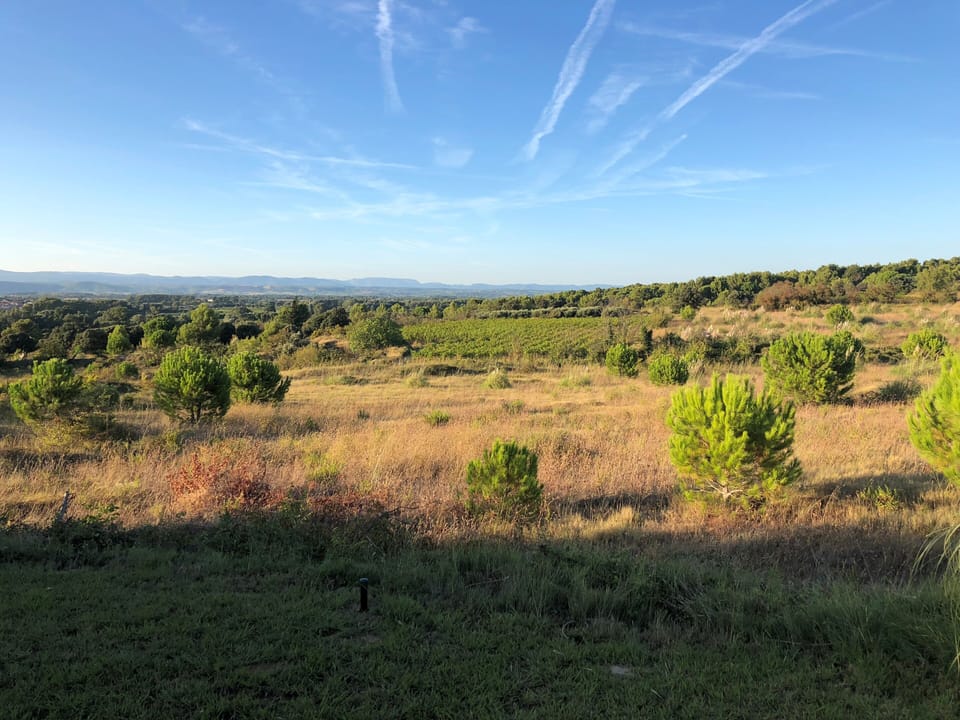 Evening view from garden