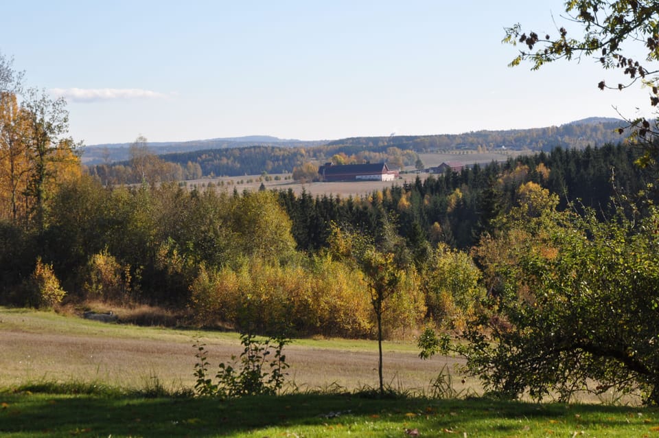 The view south east