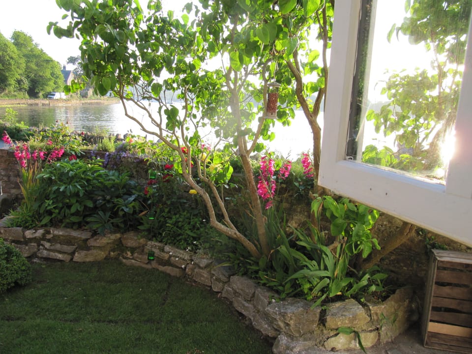View from kitchen window to front garden and water