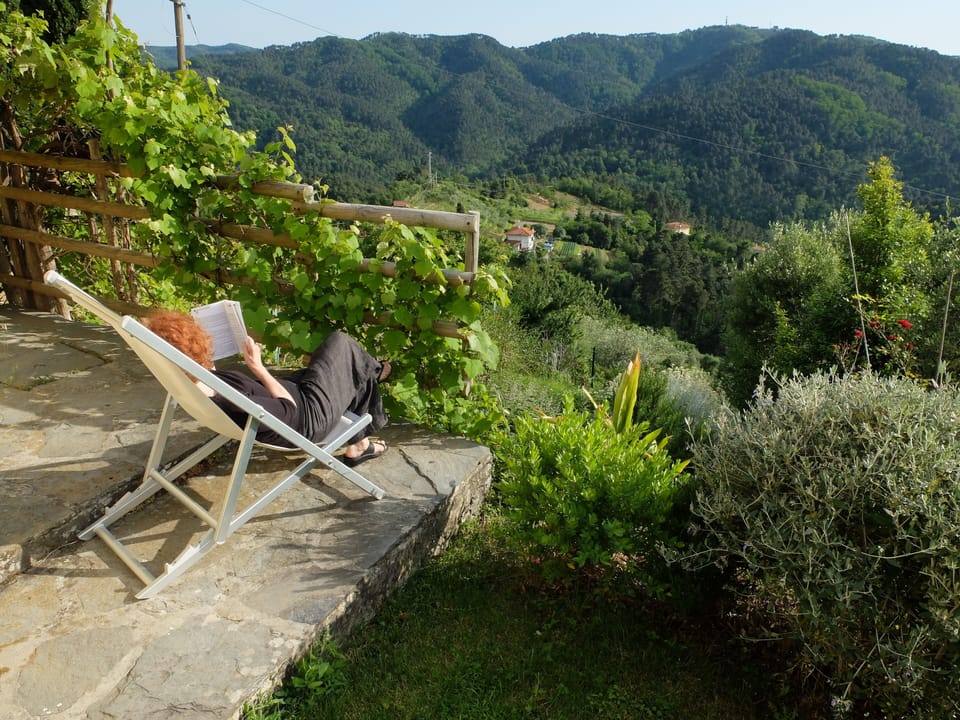 garden with a view