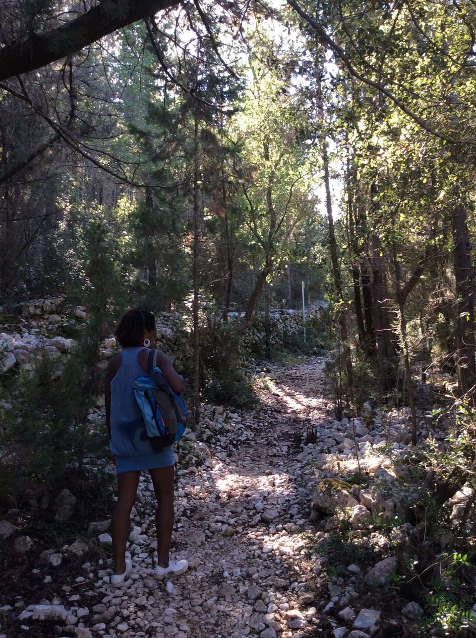 Beautiful walking trails everywhere
