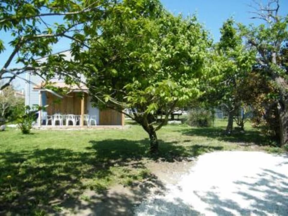 Garden, Park