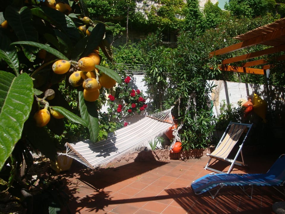 Garden, bright terrace, veranda, pergola,with swing-chair, ammack, table & seats