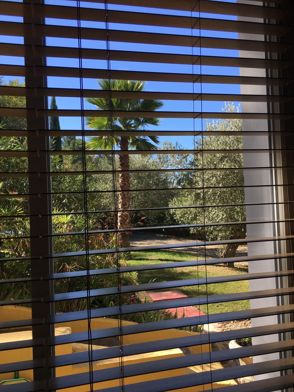 View of front garden from lower bedroom.