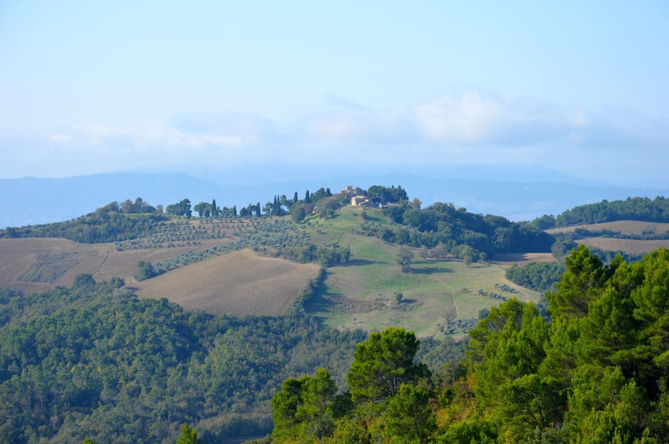 View from south terrace across valley