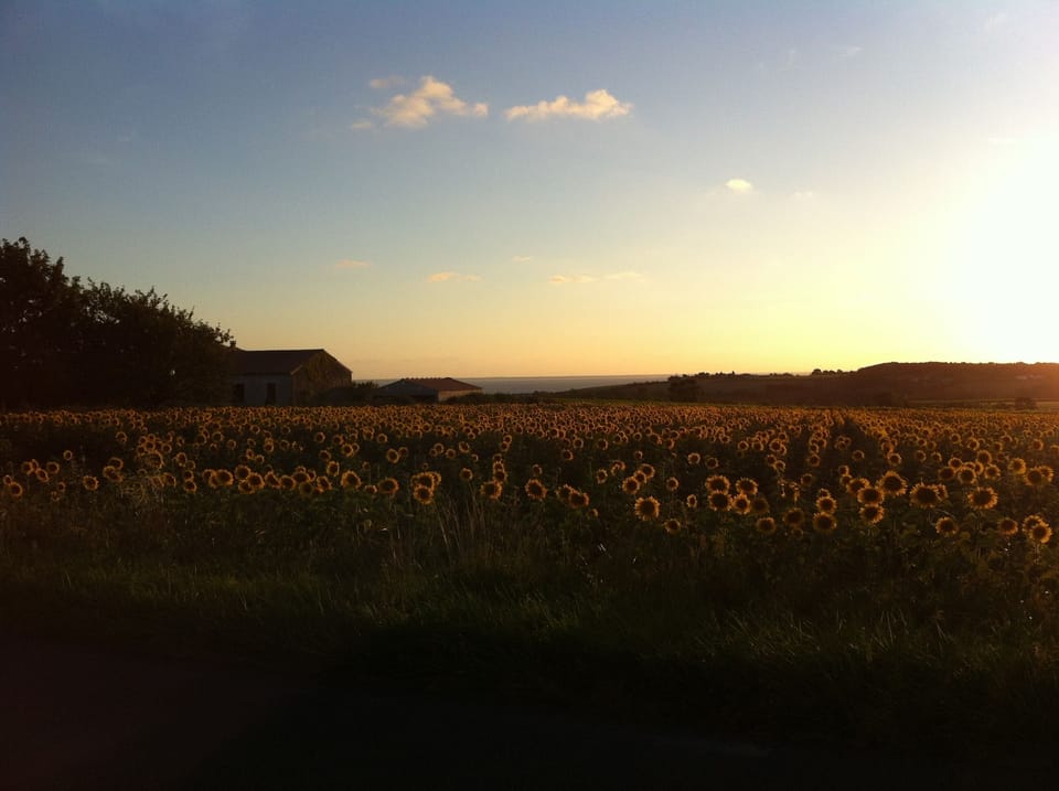 An evening walk